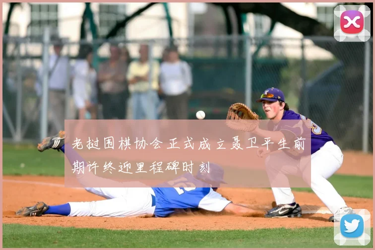 老挝围棋协会正式成立聂卫平生前期许终迎里程碑时刻