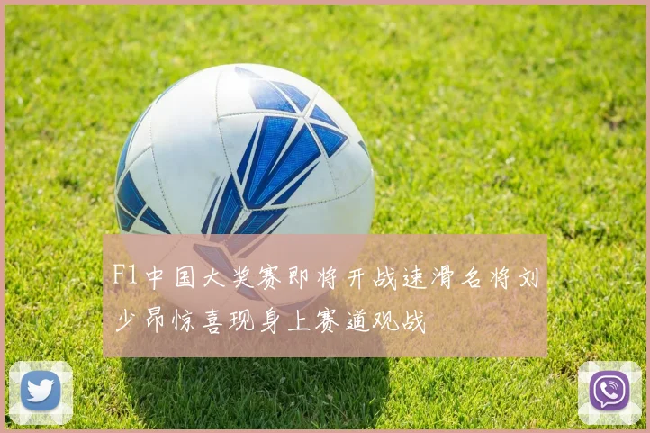 F1中国大奖赛即将开战速滑名将刘少昂惊喜现身上赛道观战