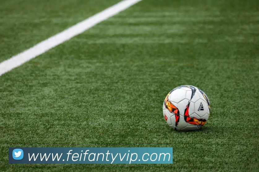 非凡体育APP 体育赛事宣传图